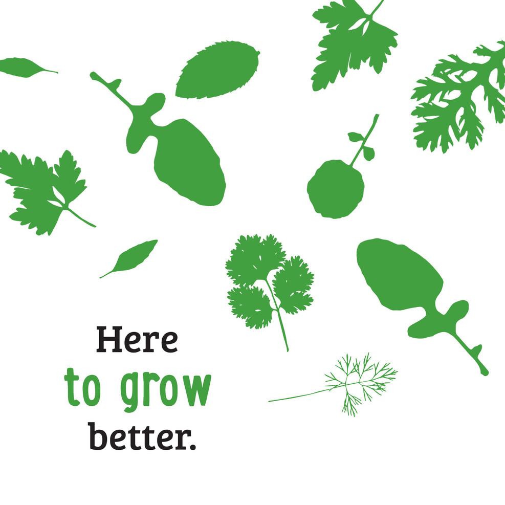 various herbs and greens silhouettes