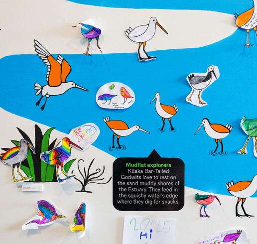 Kororī Kororā exhibition infographic wall engagement close up