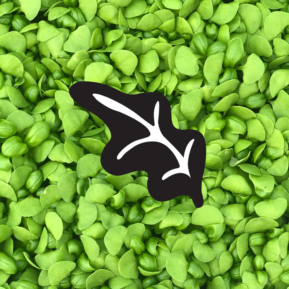 Waikawa Fresh logomark