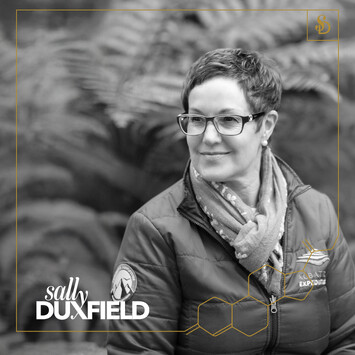 River or stream in the bush