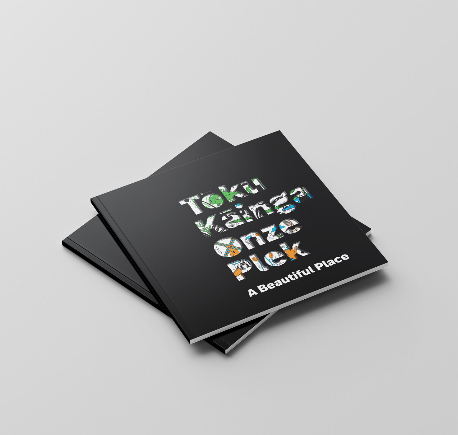 A beautiful place book cover