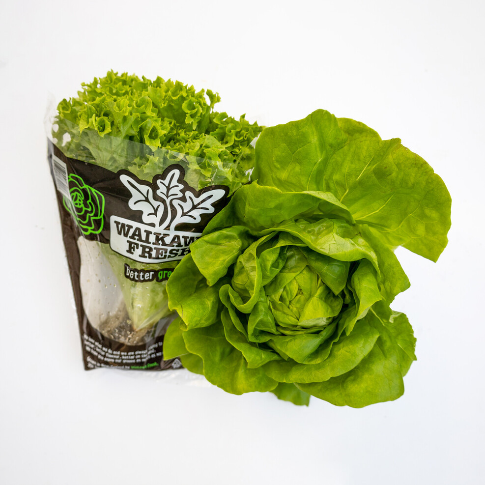 Waikawa Fresh frilly lettuce and butterhead lettuce packaging