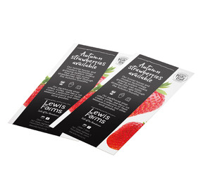 Autumn strawberry promotional flyers