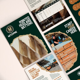 Selection of Mitchpine flyers