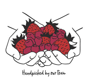 Illustration of a handful of berries