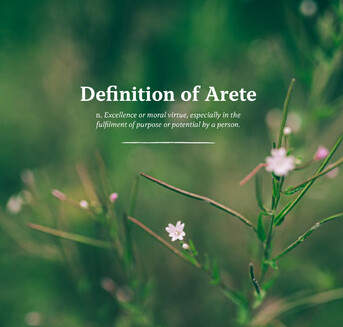 wildflowers with the definition of Arete laid on top