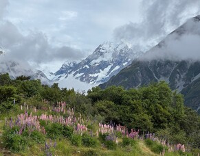 Best Time to Visit New Zealand for Scenic Views | Month-by-Month Guide