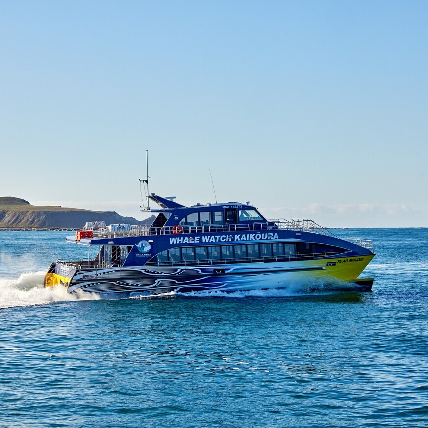 Whale watching boat in Kaikōura out at sea