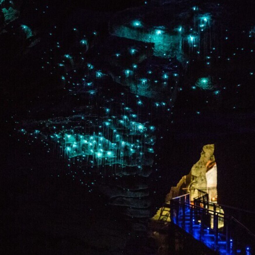 Rock formations inside Waitomo Cave illuminated by natural light