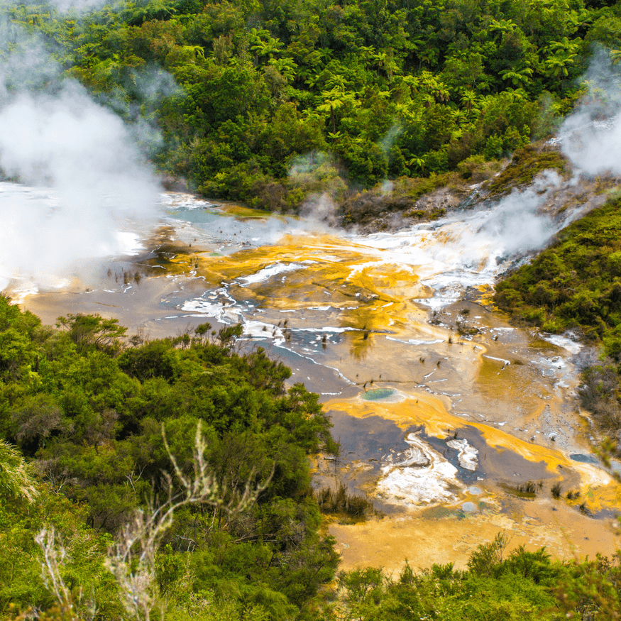 The Hidden Valley - a significant geothermal attraction in New Zealand