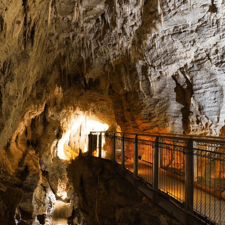 Entrance to Waitomo Glowworm Cave ready for exploration