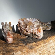 The way of the Dragon