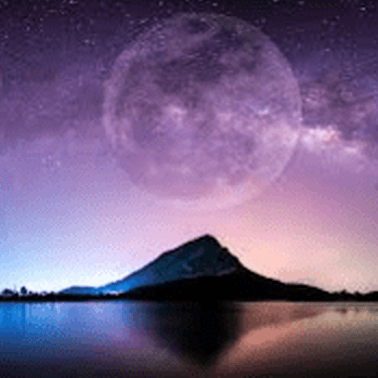 NEW MOON YIN YOGA FLOW BLOG & WORKBOOK