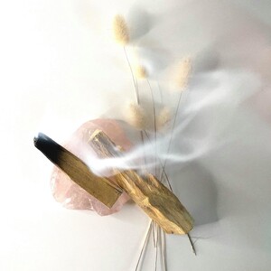 ENERGY PROTECTION TOOLS BLOG & WORKBOOK