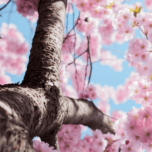 CRYSTALS FOR NEW BEGINNINGS BLOG