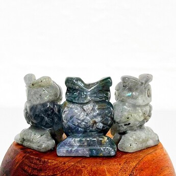 THE WISE OLD OWL SHAPE & MEANING BLOG