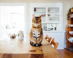 Being Very, Very Present