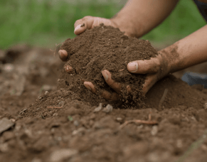 The Importance of Soil Health in Construction
