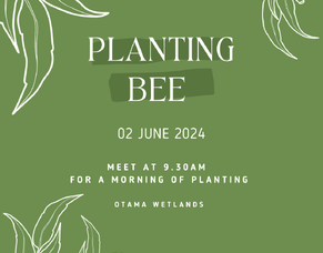 Kings Birthday 2024  - Planting Bee