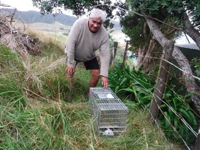 Results of Predator Trapping at Otama