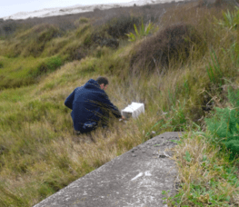 Traps Stolen from Otama Trap Line