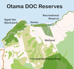 &ldquo;Bush to beach&rdquo; corridor the aim for Otama Reserves Group