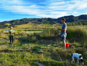 &ldquo;Degraded&rdquo; wetland unacceptable for Otama Reserves Group