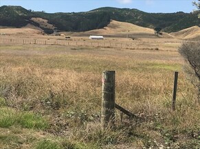 New Fence is Up At Otama Wetland Boundary!