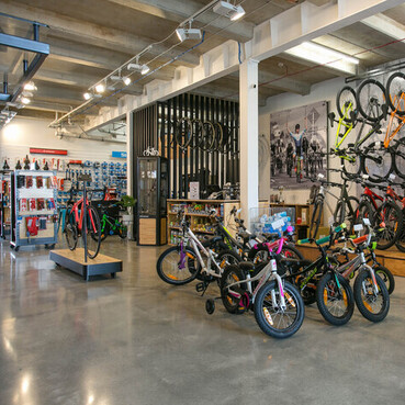 Spoken Cycles at 48 Empire Street