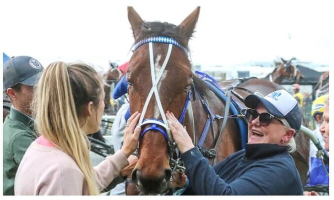 Kango returning to scale