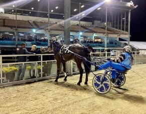 A Southern campaign looks likely for Aflyin Spur