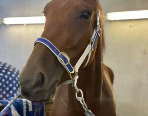 He really is low flyin