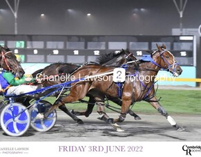 Win four for Wild Card