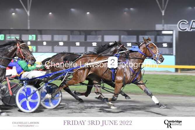 Wild Card home for the money