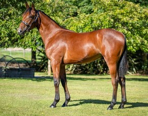 Christchurch - Lot 144 - $32,500