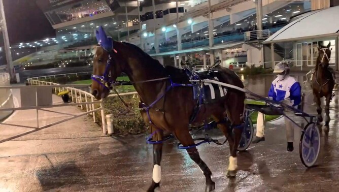 New York Minute heading onto the track