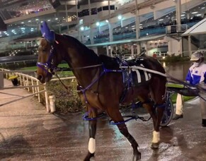 New York Minute ploughs through the slush
