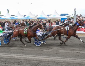 Kango breaks mould in Kaikoura win