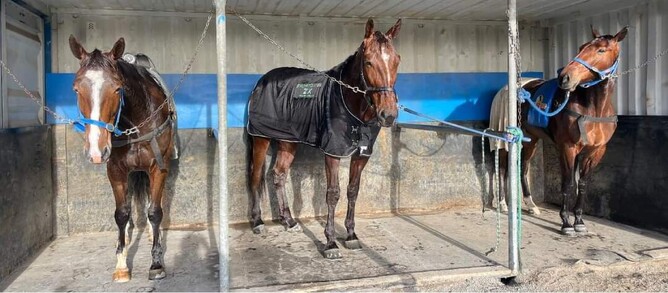 Outlaw Man, Kango & Taipo