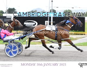 Rough And Ready wins Cambridge Gold Cup Final