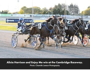 Harrison enjoying being back