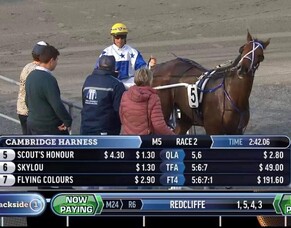 Two for the night and a lucky escape