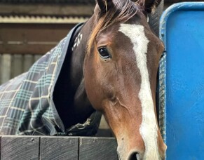 Donnelly sounds a warning ahead of big night out in Auckland