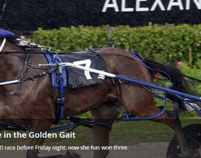Donnelly's "special" treble in the Golden Gait