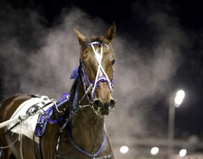 It's Kango's Spring Cup