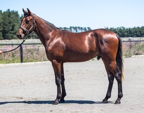 Christchurch - Lot 191 - $40,000