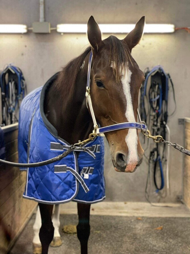 Outlaw Man prior to his win