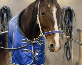 Outlaw Man breaks sixteen month drought