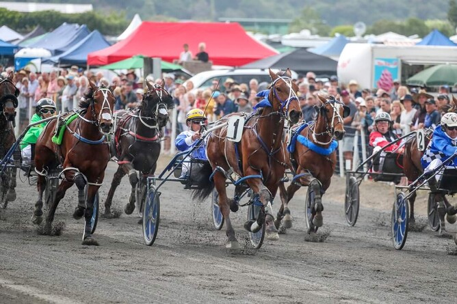 Kango's Kaikoura Cup