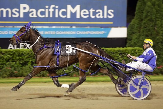 Kango warming up ahead of the Roy Purdon Memorial